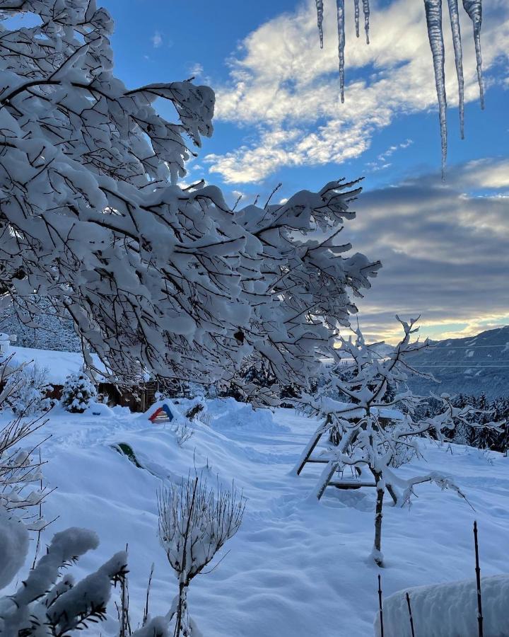 Naturgut Gailtal Sankt Stefan an der Gail Exterior foto