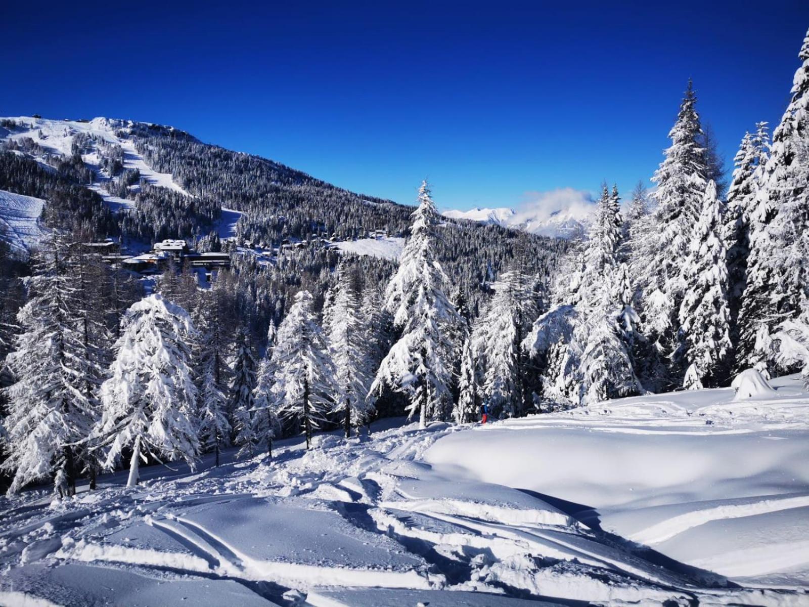 Naturgut Gailtal Sankt Stefan an der Gail Exterior foto